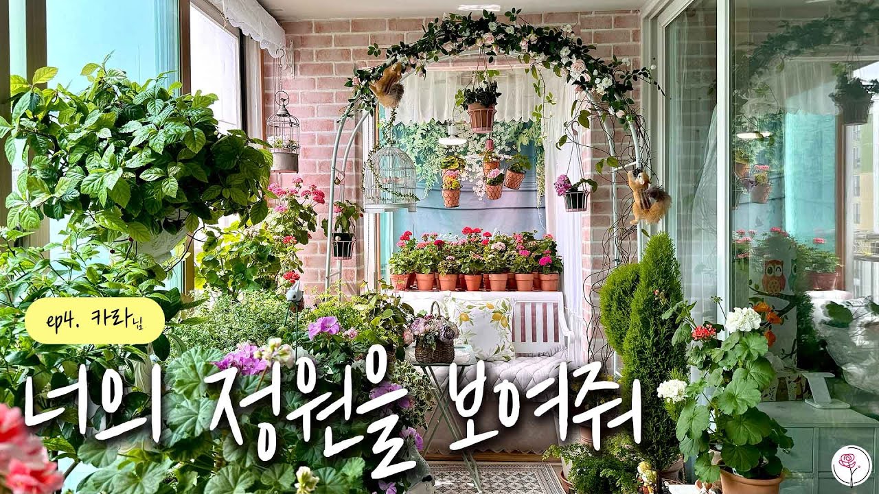 ‘홍삼 비료’만 줬어요 - 100% 천연 비료만으로 가드닝 하고 계신 구독자님을 만나고 왔습니다.