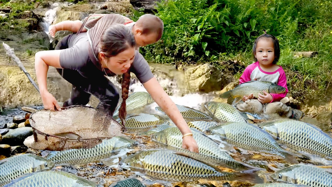 100kg GIANT FISH Harvest in the RAIN! Mom Cooks Delicious Porridge for Her Little Girl
