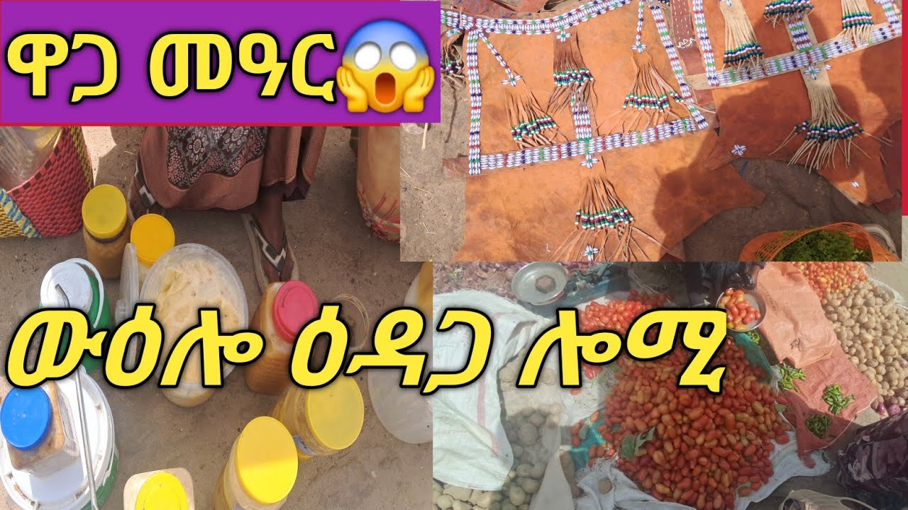 ኩነታት ዕዳጋ ሎሚ |ኣስቤዛ ሎሚ ከመይ ውዓለ| 24 January 2026|