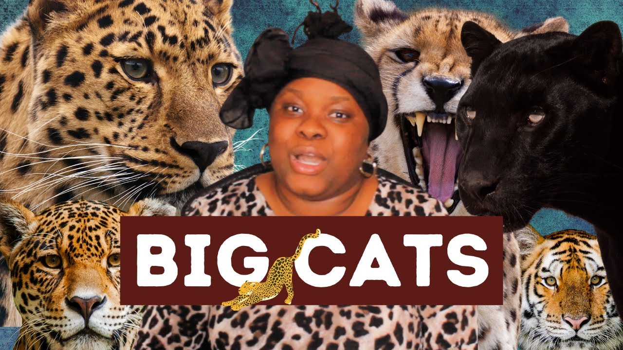 The Connection Between Yorùbá People and Big Cats (Felidae: Leopard, Cheetah, etc.)