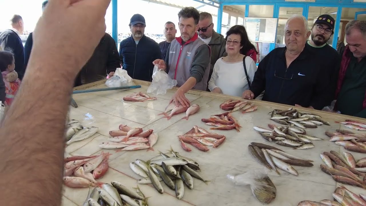 24.02.2024 RENKLİ GÖRÜNTÜLERİ İLE ÖZDERE MEZATIMIZ🌞😎#keşfetteyiz #keşfetbeniöneçıkar #squid #mezat