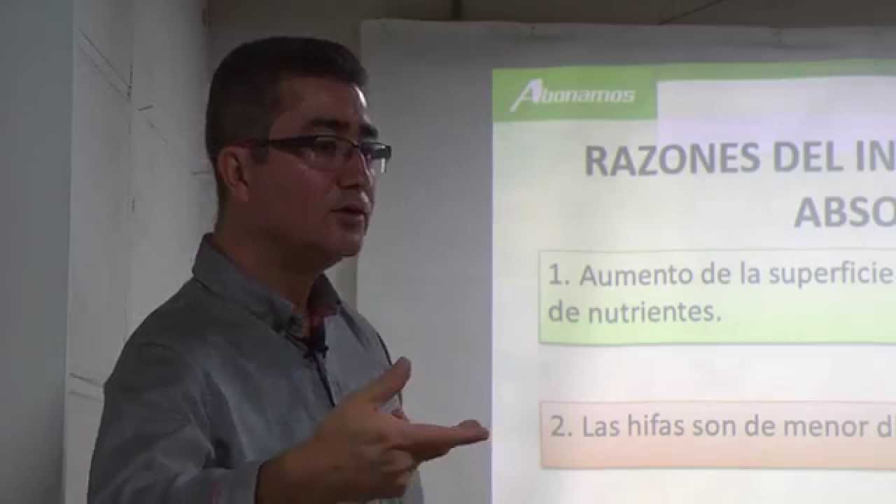 Micorrizas - Módulo 3.1: Ecología