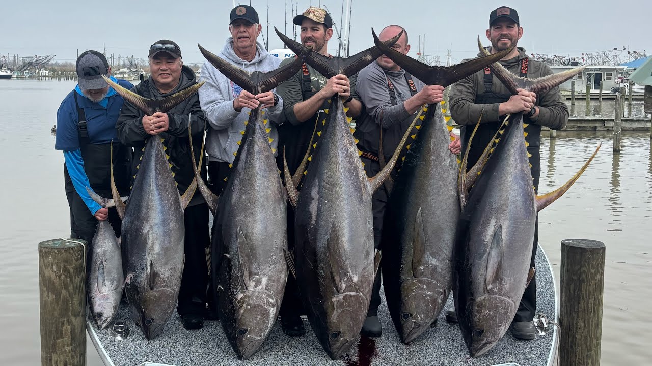 TOP WATER TUNA!!!