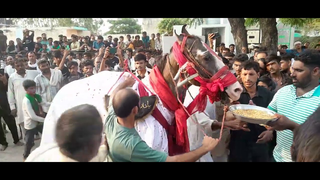 8 muharram juloos || Hussainpur sadat gangoh.S.R.E || marsiyekhawan kashif raza || 2024