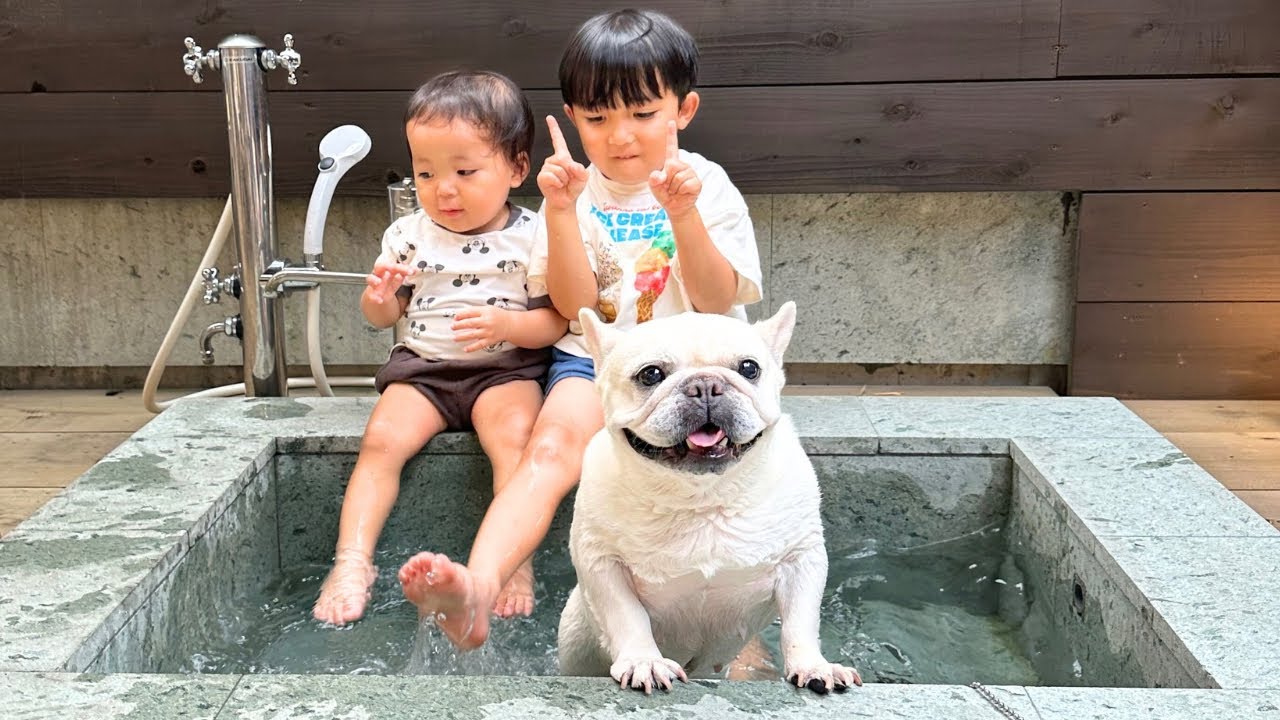 【グランピング】天然温泉に愛犬と1歳児と5歳児が一緒に入って楽しむ姿が可愛いすぎた…