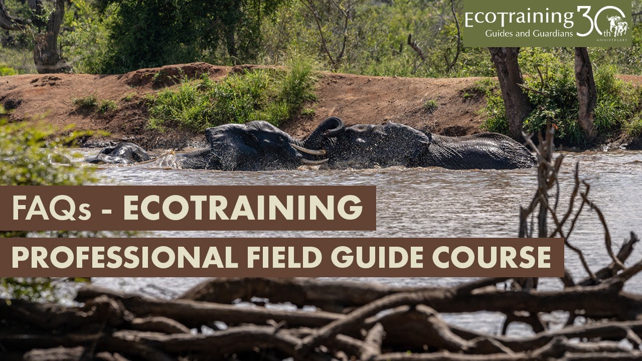 Frequently asked questions from our students l Episode 2 | EcoTraining