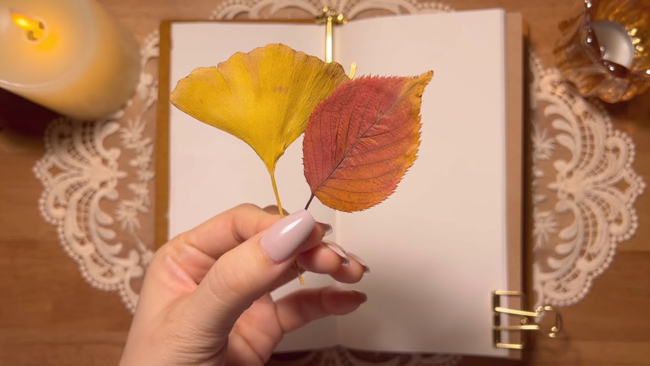 [빈티지 다꾸 ASMR] 낙엽으로 빈티지 다이어리 꾸미고 실링왁스 찍기 | vintage journal | 종이소리 | no BGM | 4K