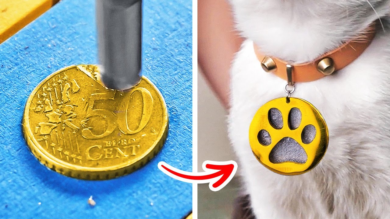 Awesome Hacks For Pet Owners || DIY Crafts And Gadgets For Loved Ones