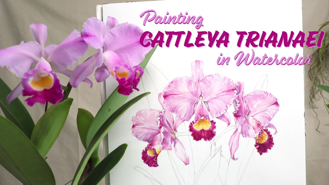 Painting an incredible orchid from the Tamiami Orchid Festival 2026 // Watercolor Tutorial