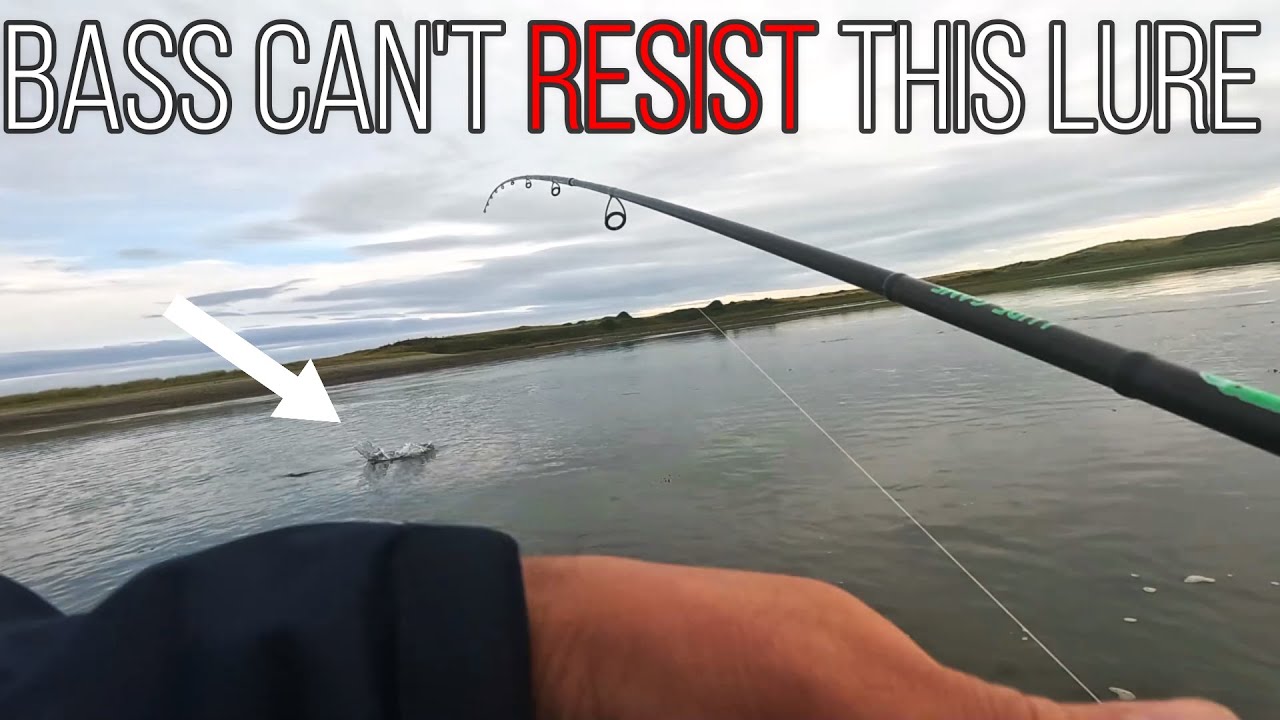 LURE FISHING FOR BASS IN ANGLESEY | NORTH WALES | 7 YEARS IN THE MAKING | SEA FISHING UK