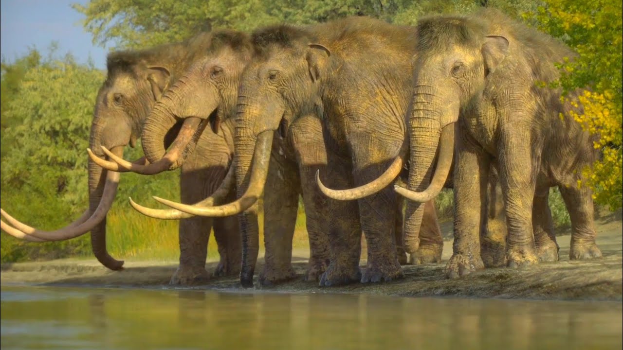Prehistoric Planet Ice Age [2025] - Columbian Mammoth (Mammuthus columbi) Screen Time