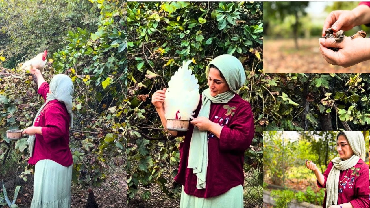 A Funny Day + Making Traditional Dolma _ A Full Day on our Small Home stead