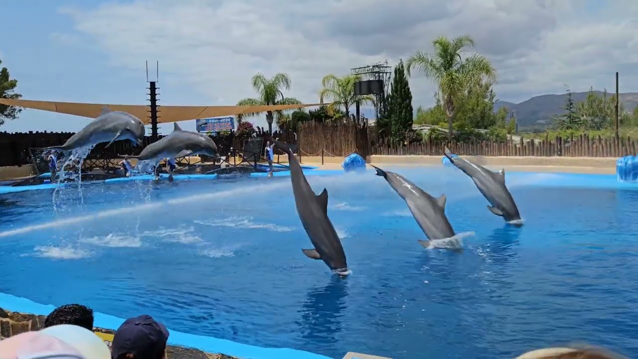 Mundomar Benidorm 