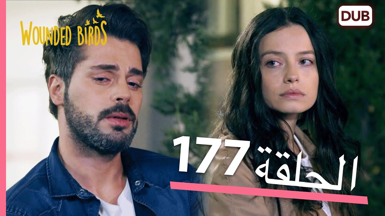 الطيور الجريحة | الحلقة الكاملة 177 |  مدبلج عربي
