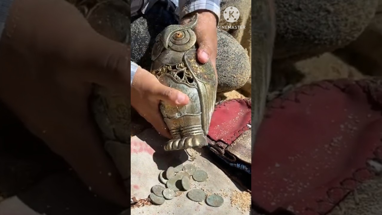 Rare Coins Found in Unexpected Places &ndash; Shocking Discovery! 😱 #metaldetecting #collectiblecoins #yt