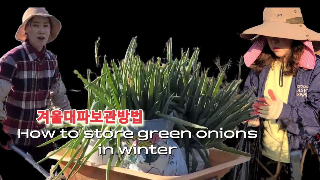 대파? 산골가족 손만 닿으면 순삭! 겨울 준비 끝판왕 브이로그