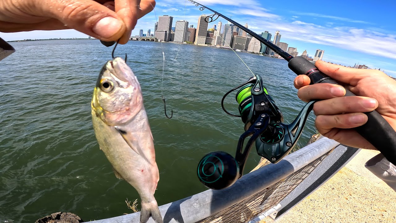 Bait Fishing NYC East River