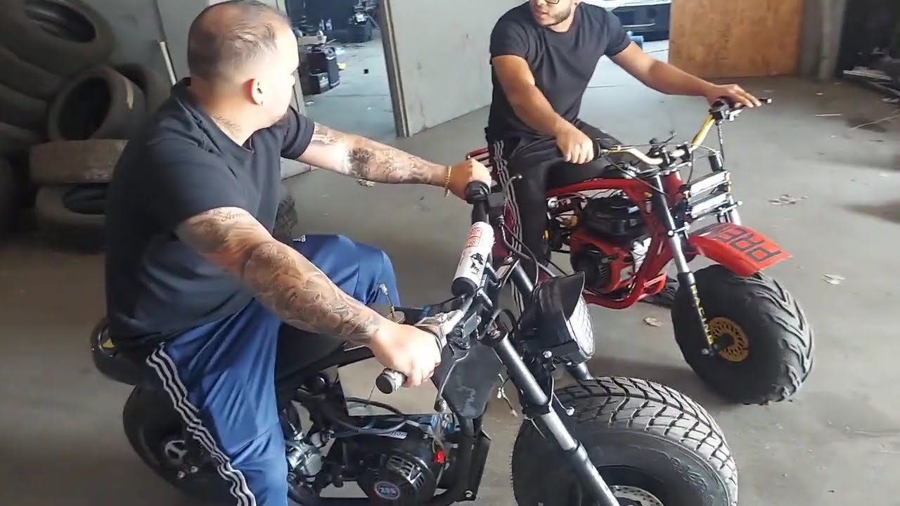 Predator 224 vs Tillotson 225 Mini Bike Fun