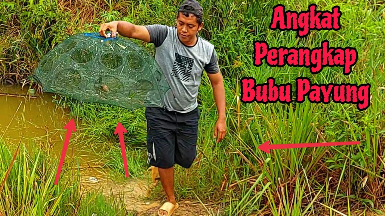 Pasang Perangkap Ikan dan Udang Dirawa Belakang Rumah