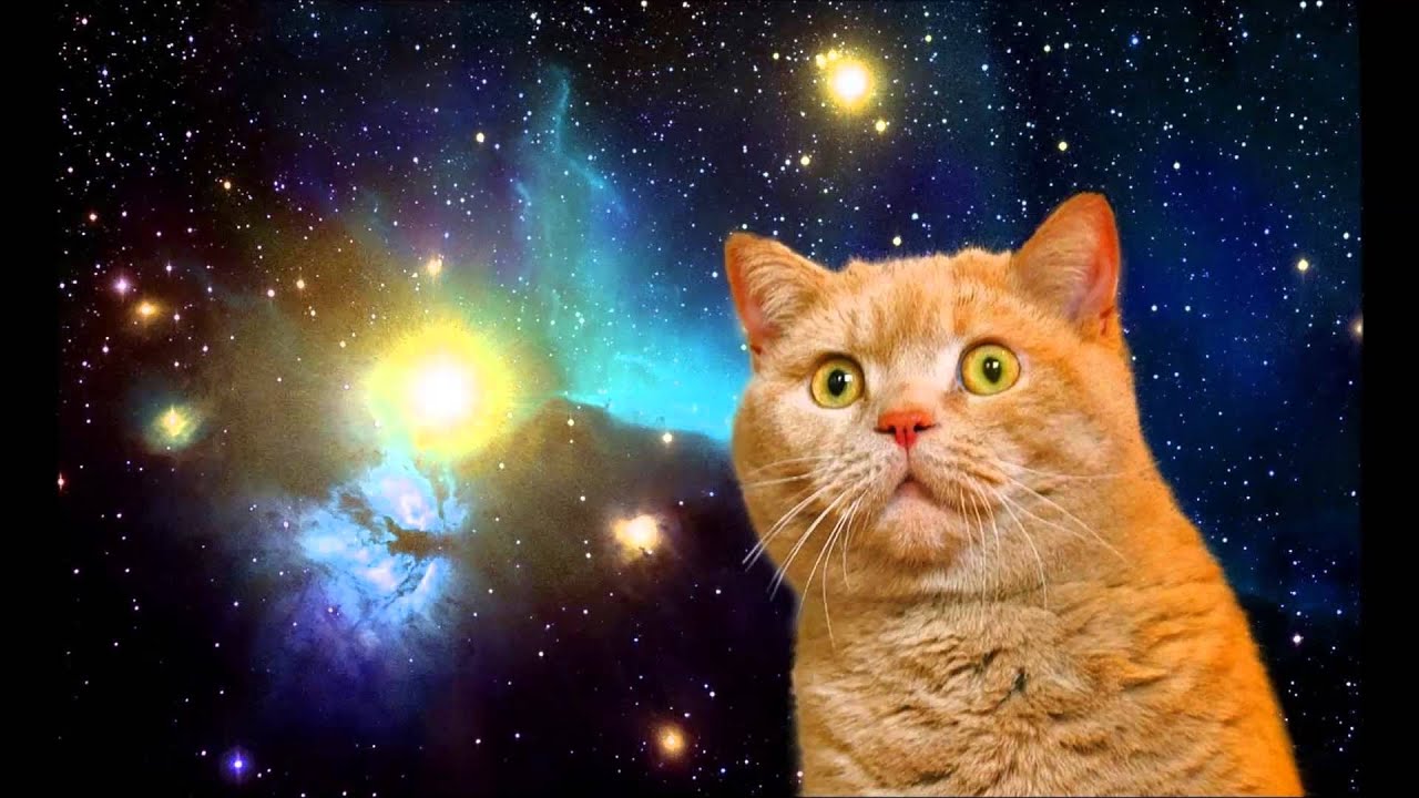 Decaf - Titanic ft. My heart will go on - 25HZ