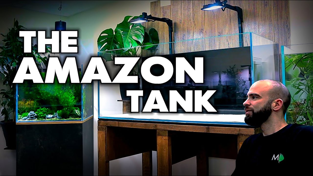Сборка аквариума «Амазонка» (часть 1) | MD Fish Tanks