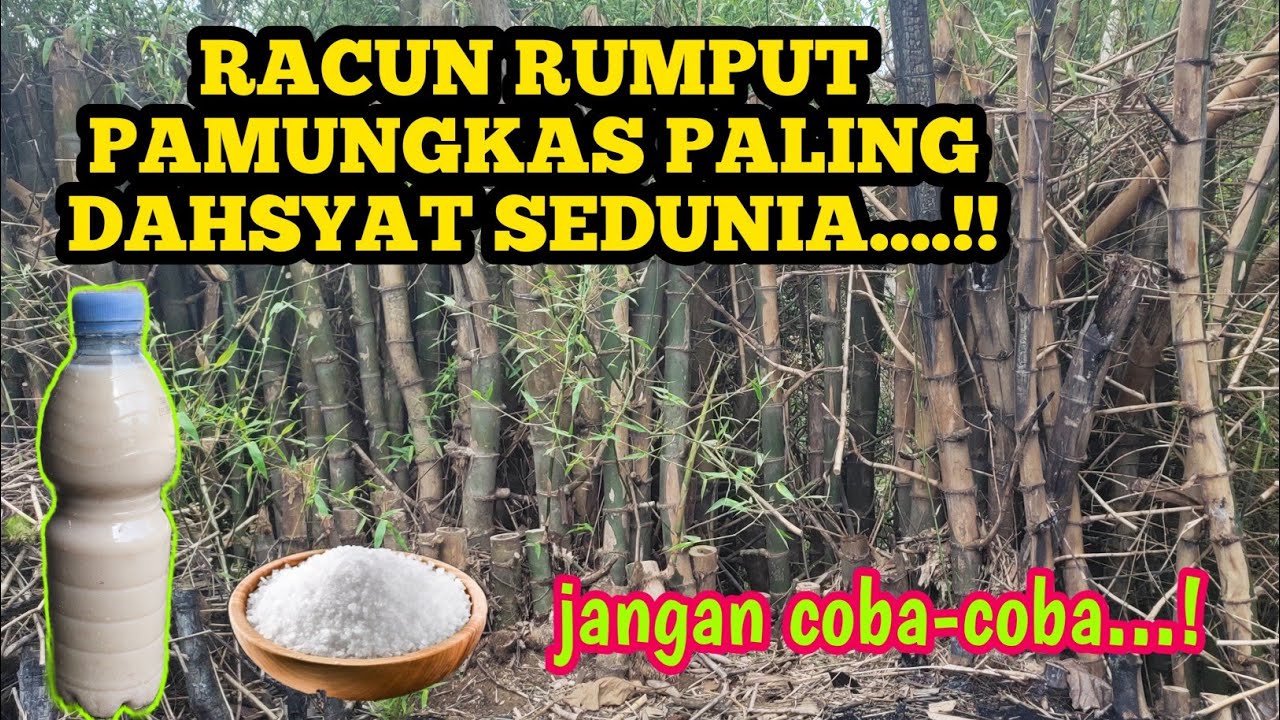 Bahaya..