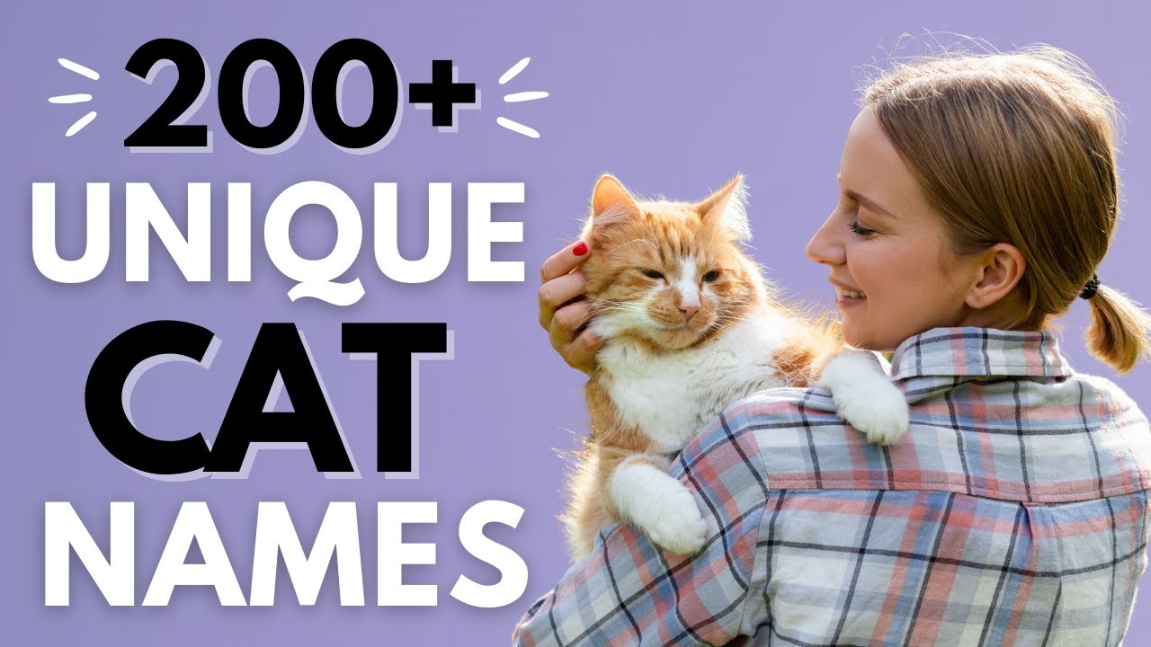Более 200 уникальных имён для кошек, которые никто не использует! Уникальные и редкие имена для к...