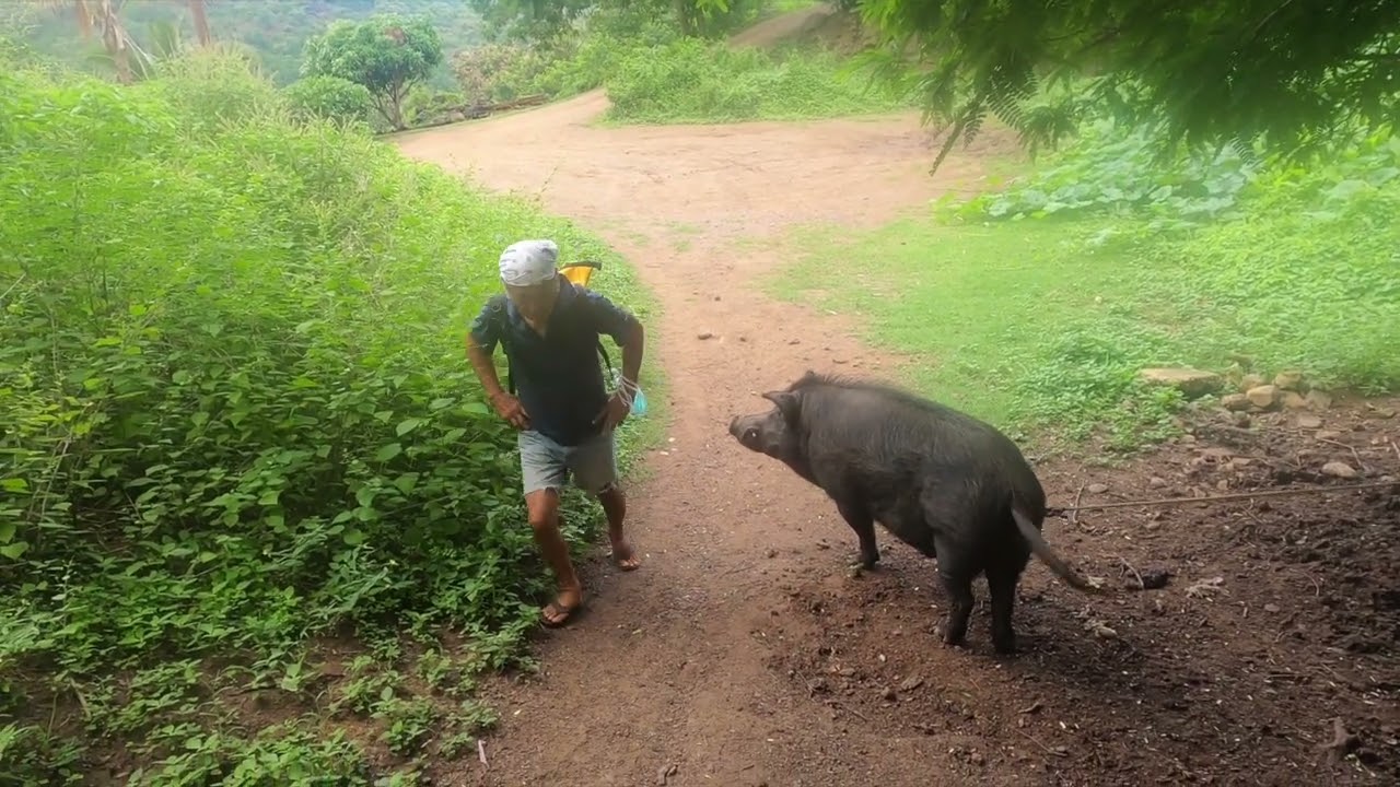 Visite du Pae Pae Koueva à Nuku Hiva #17