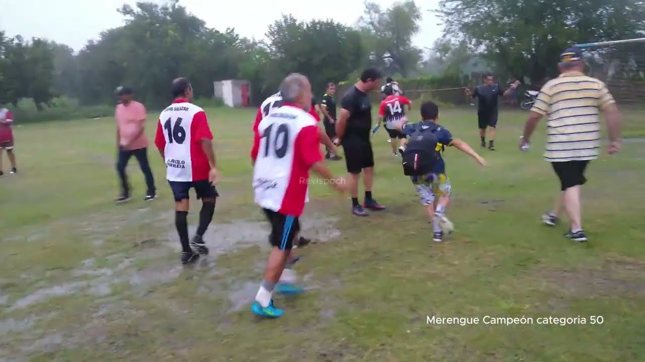 Merengue campeón Categoría 50