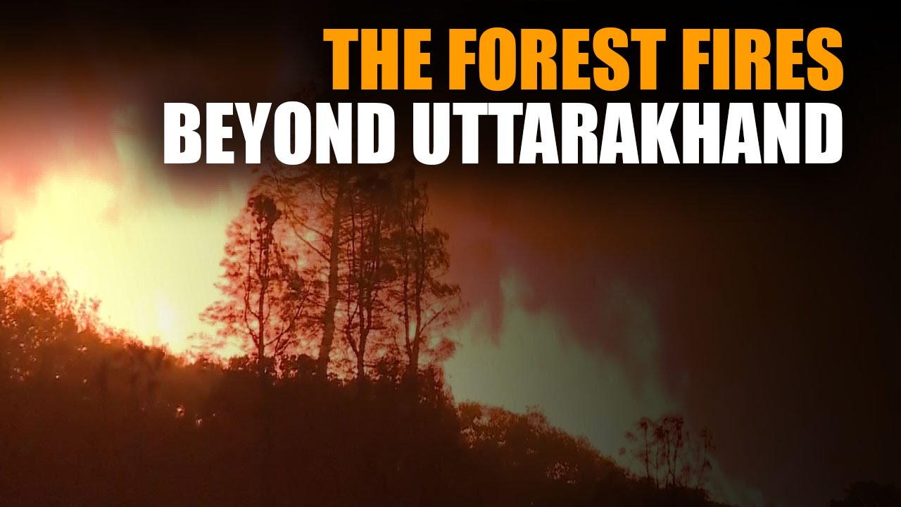 Why Uttarakhand is not the epicentre of India's forest fires