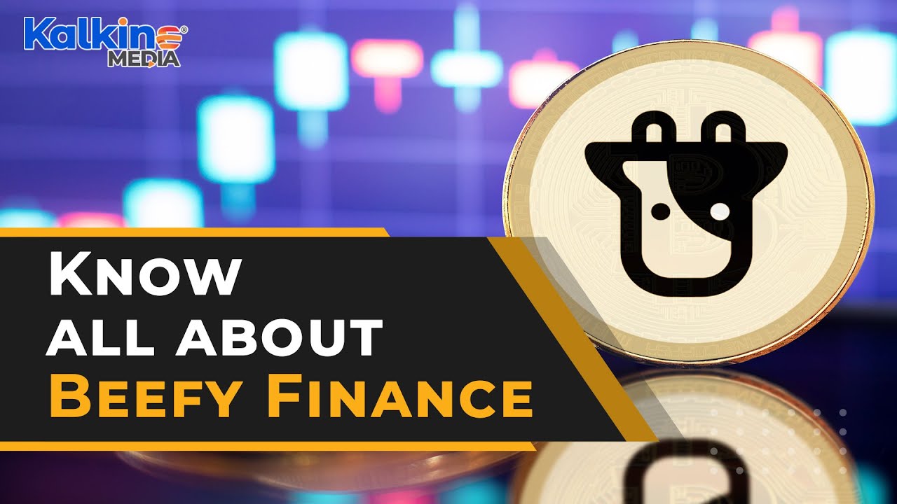 What is Beefy Finance? what does it do?