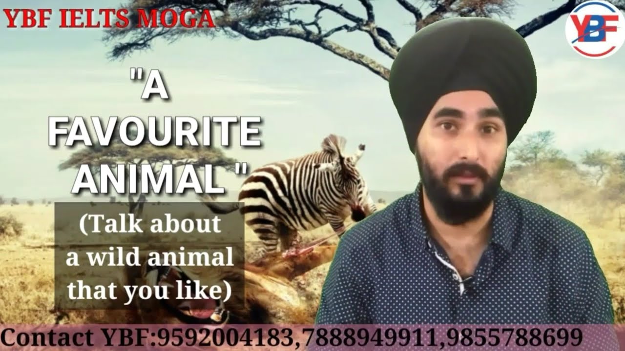 Talk About Your Favourite Wild Animal |Latest IELTS Cue Card| Easy sample answer With Tips