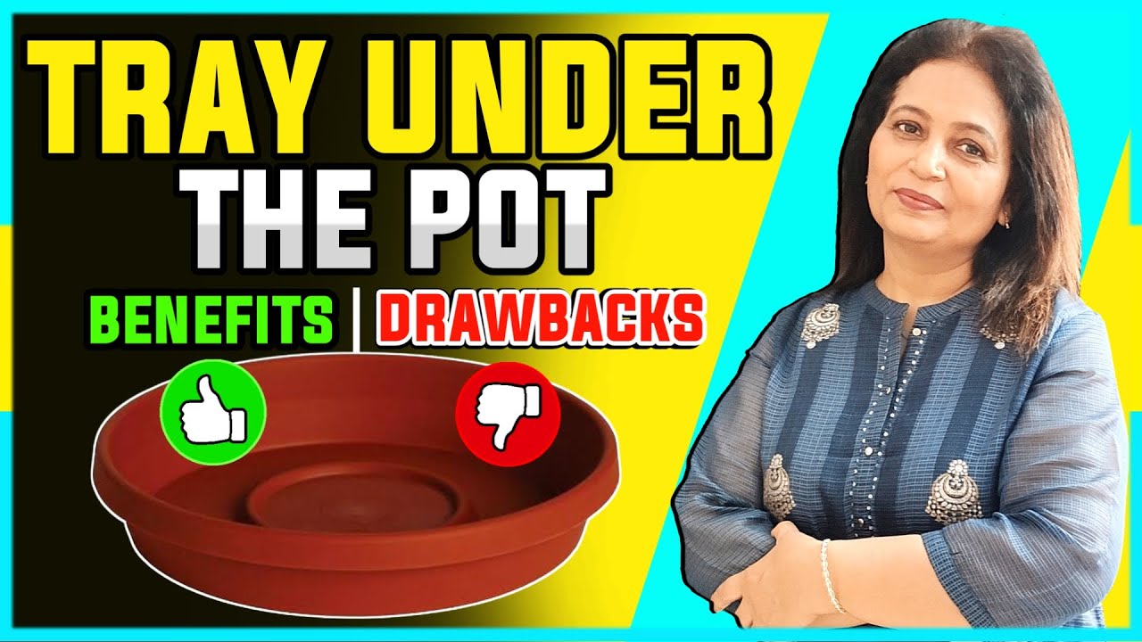 Tray Under The Pot - Advantages & Disadvantages | Terrace Gardening | Gardening In Pots