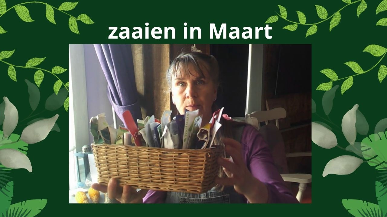 moestuin maart | zaaien | voorjaar | zelfvoorzienend