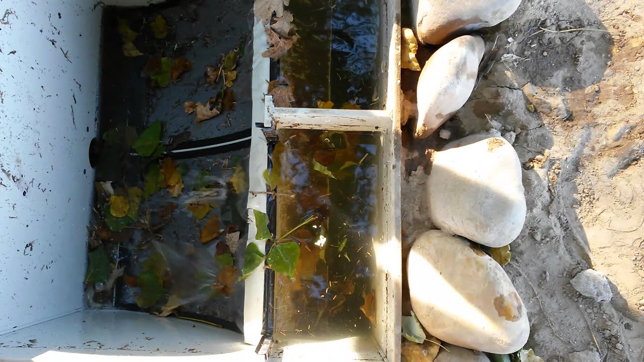 Aqua Forté Midi Sieve
