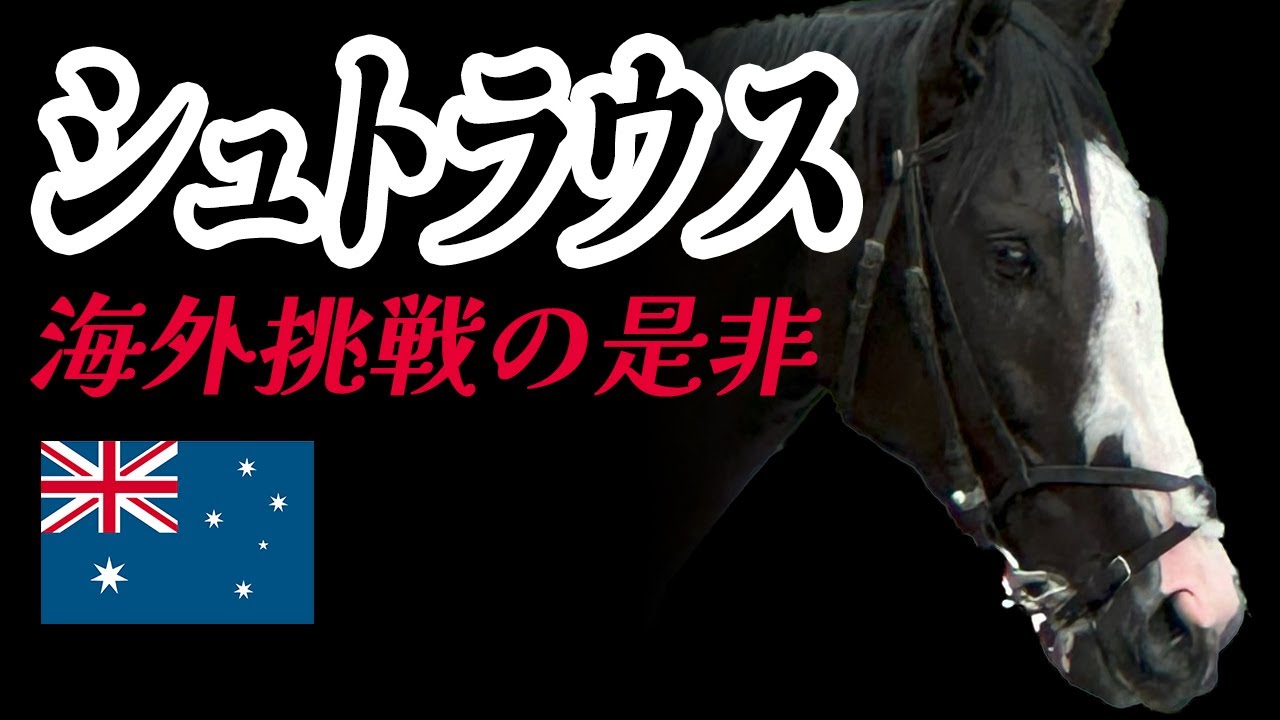 【賛否両論】2,600万円払って海外遠征に挑むシュトラウス｜あなたは賛成？反対？出資者の本音トーク