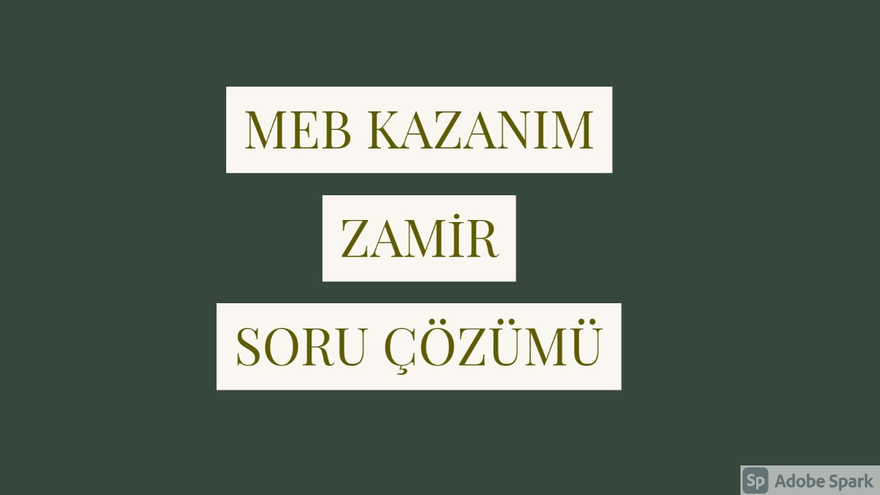 Meb kazanım mezun Türkçe zamir ( 33 )