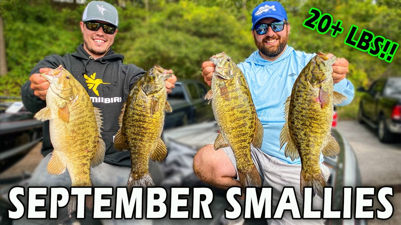 Smallmouth Bass BEATDOWN In September | Great Lakes Smallmouth Bass Fishing