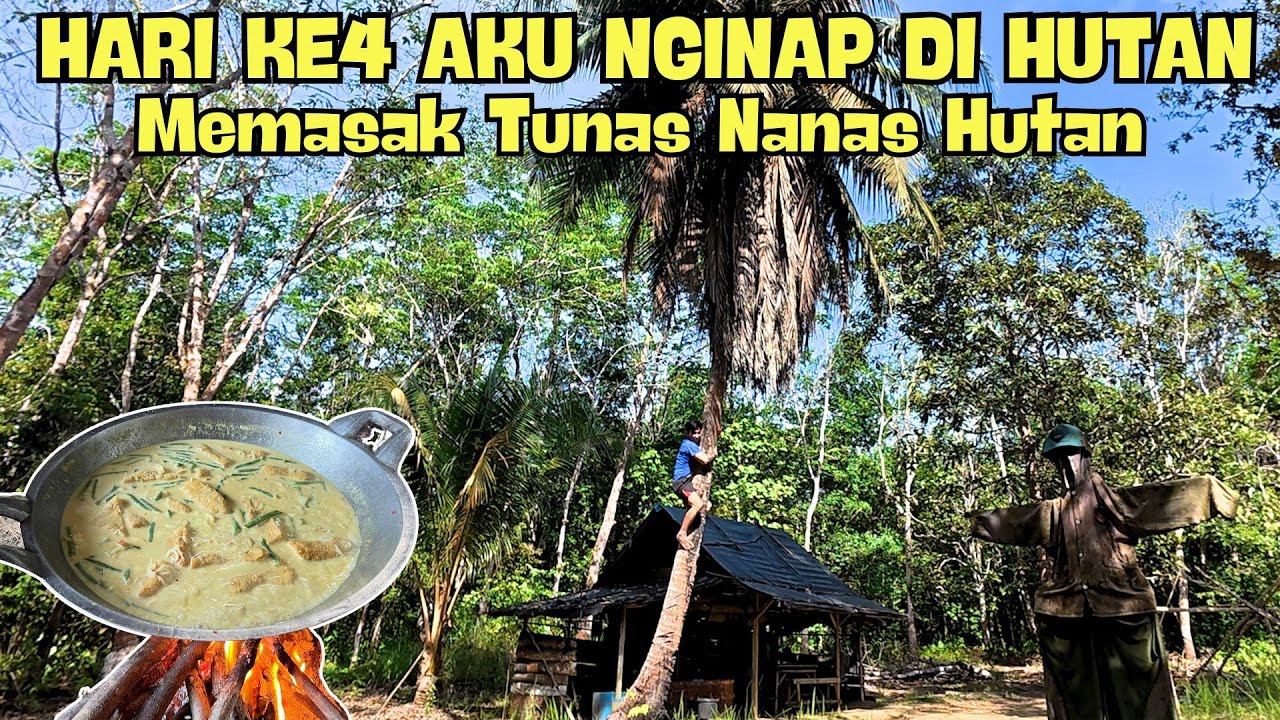 HARI KE 4 AKU MENGINAP DI HUTAN! BANGKA!! AKU MASAK TUNAS NANAS DARI HUTAN