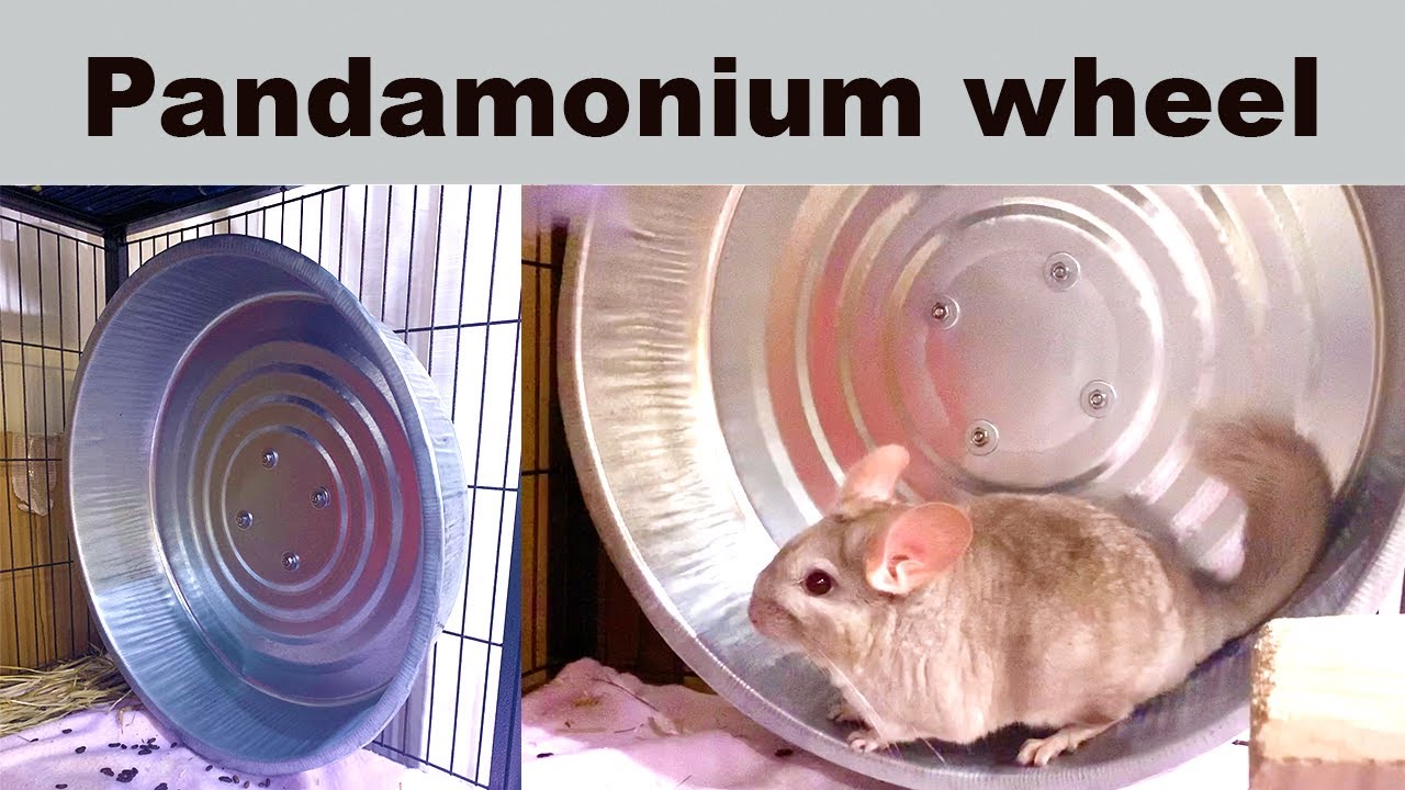 Pandamonium Wheel Unboxing and Review
