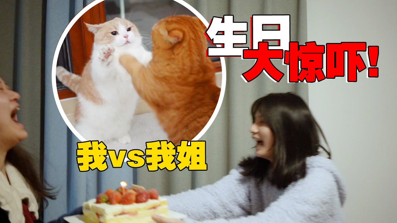 【喵来啦】淘气妹妹在姐姐生日当晚用猫制造大惊喜！气得姐姐暴打妹妹