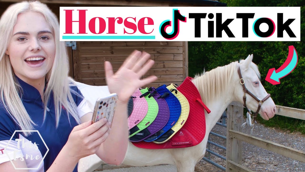 Создавайте TikTok о лошадях вместе со мной! РЕКЛАМА | Эта Эсме