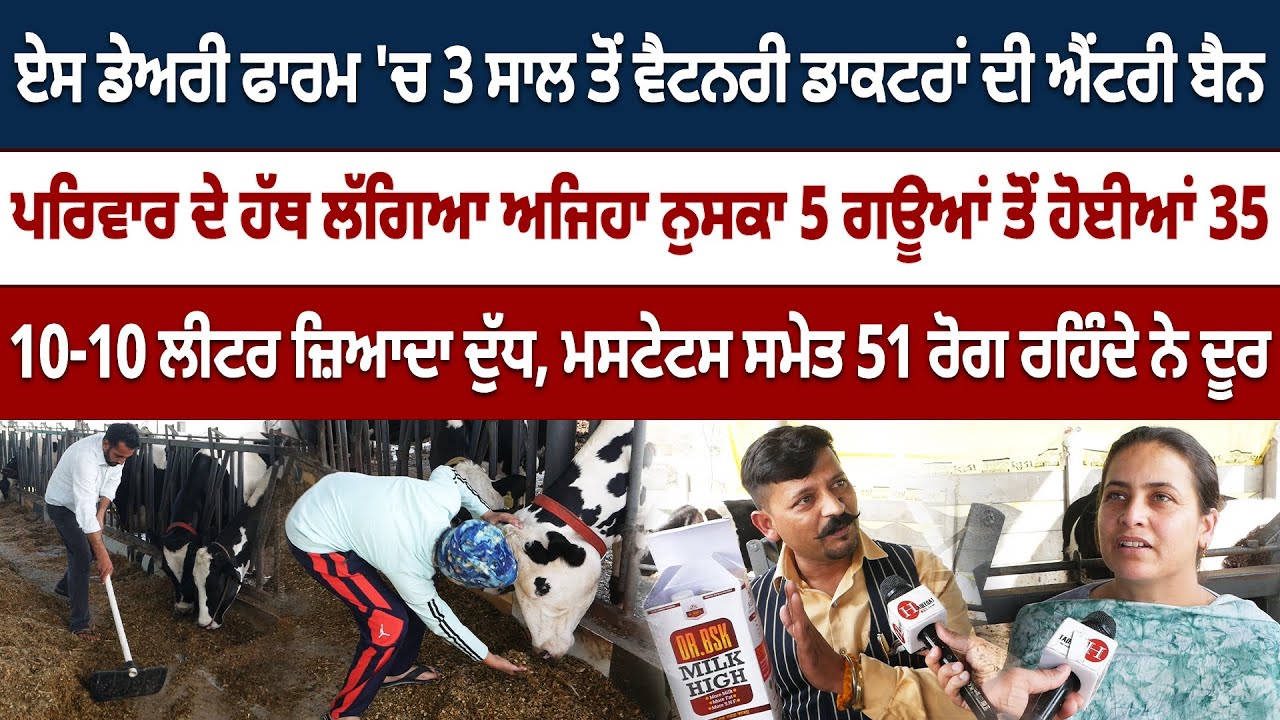 ਜਵਾਕ ਤੇ ਜਨਾਨੀਆਂ ਸੰਭਾਲਦੇ ਨੇ ਡੇਅਰੀ ਫਾਰਮ, ਨੁਸਕੇ ਨੇ ਡੇਅਰੀ ਫਾਰਮਿੰਗ ਕਰਤੀ ਸੌਖੀ