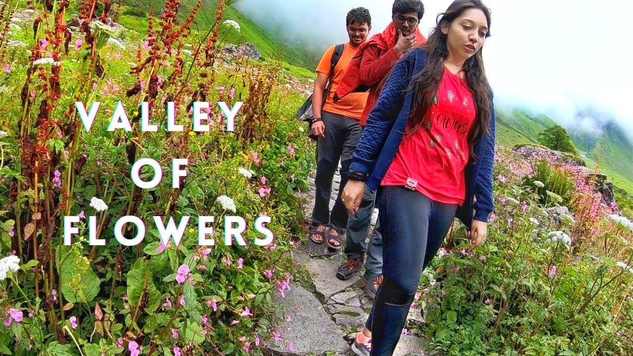 Valley of Flowers National Park - Cinematic Travel Film | Uttarakhand | Valley of Flowers Trek