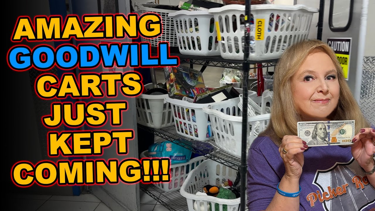 AMAZING GOODWILL CARTS KEPT COMING!!! Join the Journey on Picker Road!