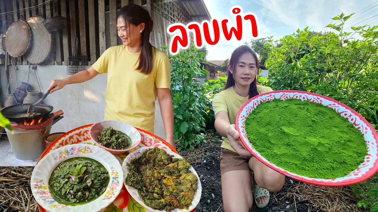 จัดเมนูผำเน้นๆ ลาบผำ แซ่บๆ คั่วผำ ไข่เจียวผำ อร่อยมีประโยชน์สุดๆมื้อนี้