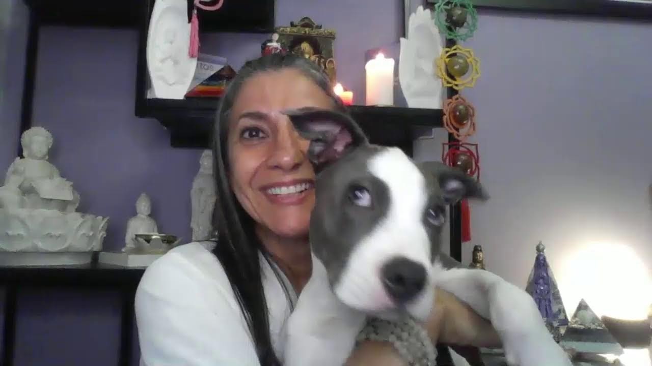REIKI a distância com cristais e chakras e RECICLAGEM 08/02/26