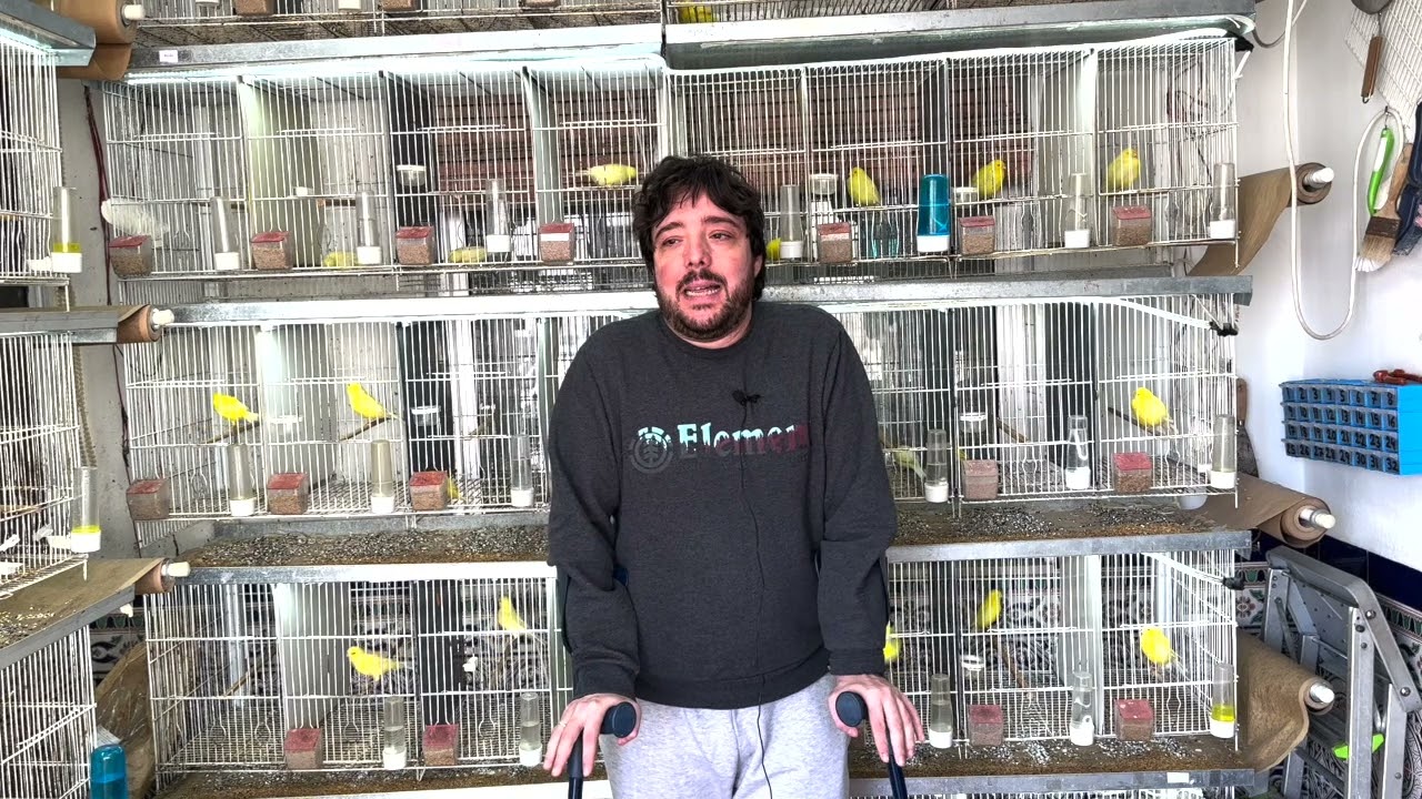 PREPARACIÓN A LA CRÍA 2024 | CALENTAMOS MOTORES😊🐥
