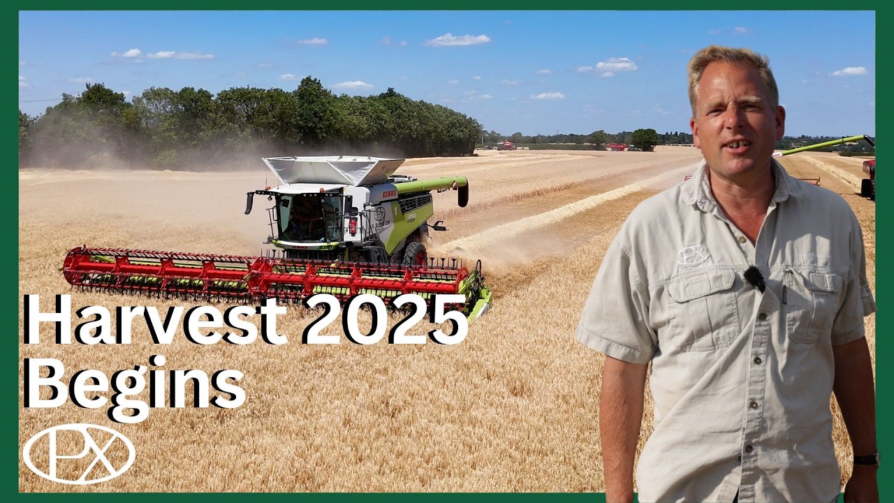 Harvest 2025 Begins! Barley, Combines & Surprising Yields at P.X. Farms