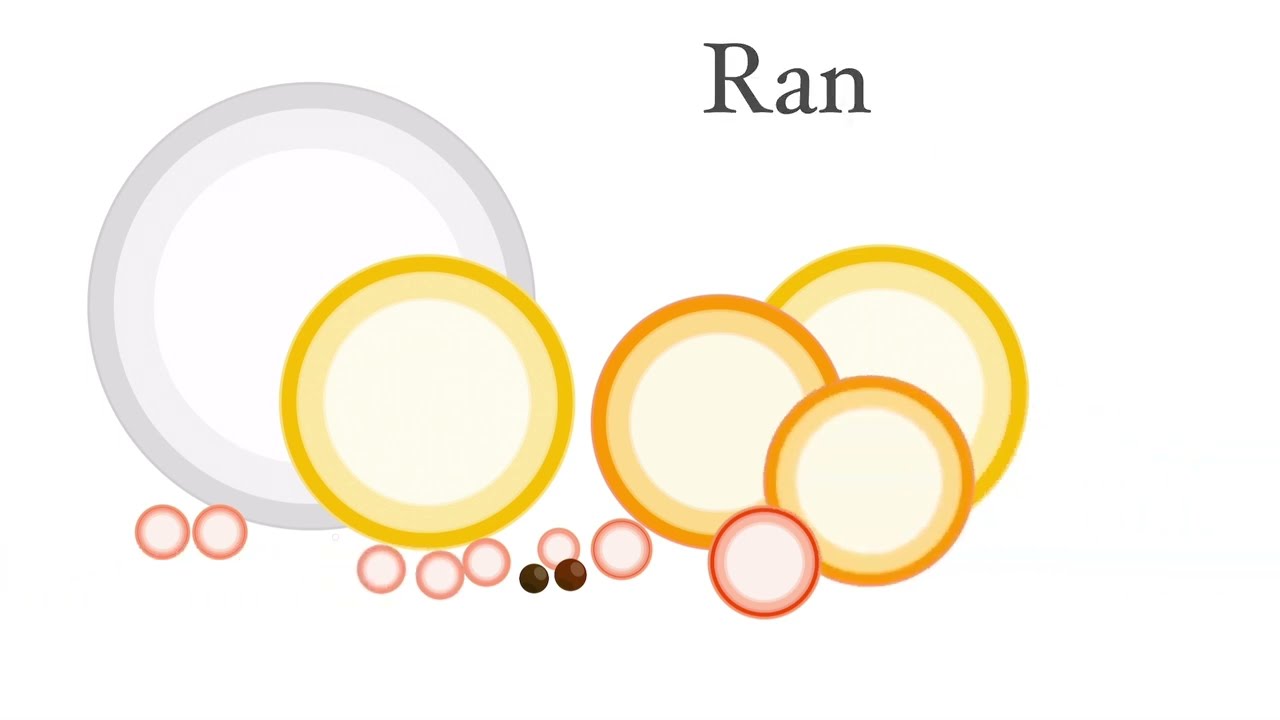 Orbs — Celestial Bodies Size Comparison 2: Stellar Neighbourhood